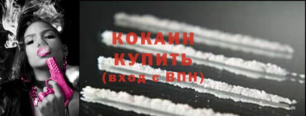 СК Медвежьегорск