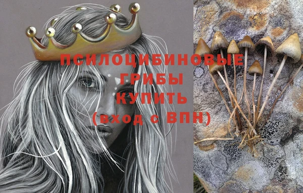 эйфоретик Медногорск