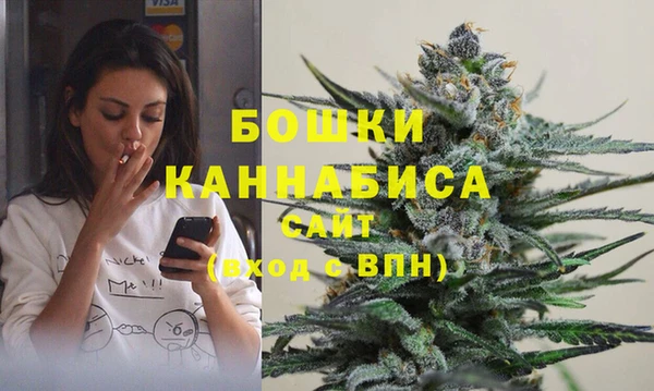 СК Медвежьегорск