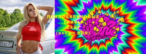 СК Медвежьегорск