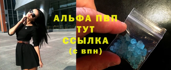 СК Медвежьегорск